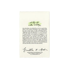 Load image into Gallery viewer, Lily of the Valley Hand Painted Greeting Card | Scribble &amp; Daub