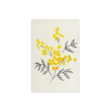 Load image into Gallery viewer, Mimosa Hand Painted Greeting Card | Scribble &amp; Daub