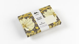 A5 Notepad & Matching Envelopes| The Pepin Press