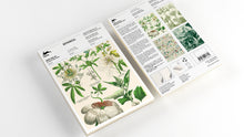 Load image into Gallery viewer, A5 Notepad &amp; Matching Envelopes| The Pepin Press