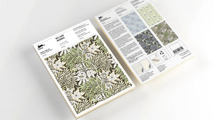 A5 Notepad & Matching Envelopes| The Pepin Press