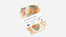 Load image into Gallery viewer, Gift &amp; Creative Paper Books | The Pepin Press