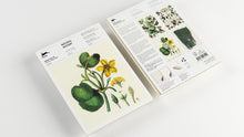 Load image into Gallery viewer, A5 Notepad &amp; Matching Envelopes| The Pepin Press