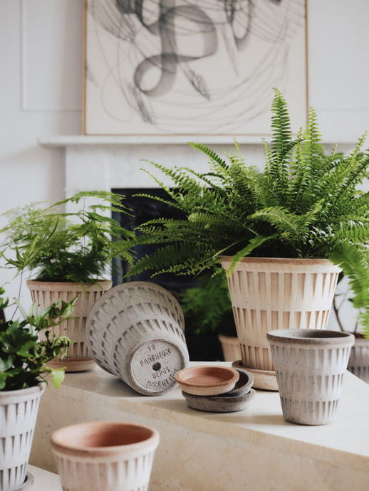 Pantheon #12 | Bergs Potter