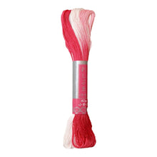 Load image into Gallery viewer, Sashiko Thread Skein Thick Multi-Color | Daruma