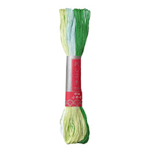 Load image into Gallery viewer, Sashiko Thread Skein Thick Multi-Color | Daruma