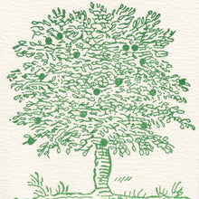 Load image into Gallery viewer, Fruit Tree, Pack of Six Note Cards