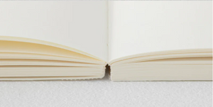 MD Notebook Cotton | Midori