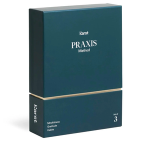 Praxis Method - 3 Journal Set | Karst Stone Paper