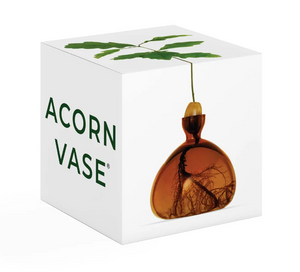 White box on white background with "ACORN VASE" on one side and image of clear amber glass vase with acorn in top and tree sprouting out