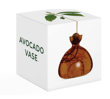 Load image into Gallery viewer, White Avocado Vase box with dark amber colored vase on side of box on white background