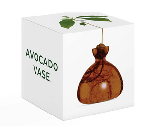 White Avocado Vase box with dark amber colored vase on side of box on white background