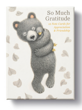 Load image into Gallery viewer, So Much Gratitude Boxed Notes | Compendium