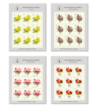 Load image into Gallery viewer, Decorative Labels | Felix Doolittle