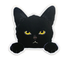Load image into Gallery viewer, Stickers | Felix Doolittle