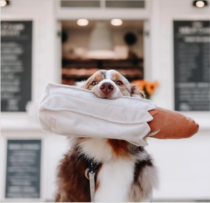 Enrichment Dog Toys | Lambwolf Collective