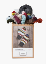 Load image into Gallery viewer, 21 Color Mittens Kit | Blue Sky Fibers