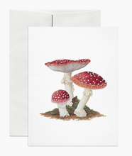 Load image into Gallery viewer, Greeting Cards | Open Sea Design Co.