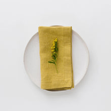 Load image into Gallery viewer, Linen Napkins (Set of 2) | Linen Tales