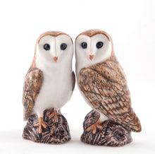 Load image into Gallery viewer, Salt &amp; Pepper Shakers | Quail Ceramics