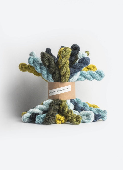 Woolstok Bundle Kit | Blue Sky Fibers
