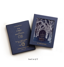 Load image into Gallery viewer, Starry Lights Holiday Card Boxed Set | E. Frances Paper
