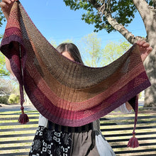Load image into Gallery viewer, Super Swirl Shawl KAL | Charles Gandy