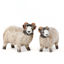 Load image into Gallery viewer, Salt &amp; Pepper Shakers | Quail Ceramics