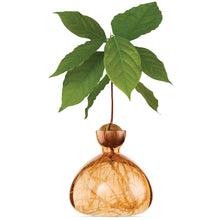Load image into Gallery viewer, Acorn Vase | Ilex Studio