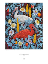 Load image into Gallery viewer, Vasilisa Romanenko: Ibises 1000-Piece Jigsaw Puzzle | Pomegranate