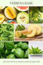Load image into Gallery viewer, 26oz eco candle VERBENA BASIL | Eco Candle Company