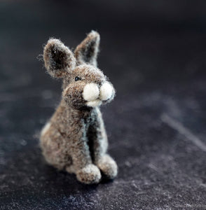 Bear Creek Felting | Rabbit Needle Felting Kit