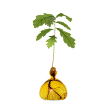 Load image into Gallery viewer, Acorn Vase | Ilex Studio