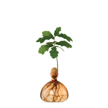 Load image into Gallery viewer, Acorn Vase | Ilex Studio