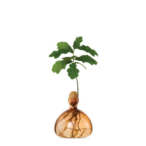 Acorn Vase | Ilex Studio