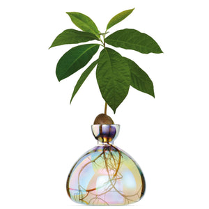 Avocado Vase | Ilex Studio
