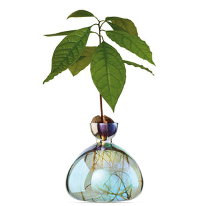 Avocado Vase | Ilex Studio