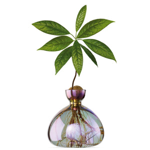 Avocado Vase | Ilex Studio