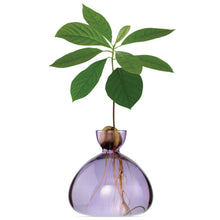 Load image into Gallery viewer, Avocado Vase | Ilex Studio