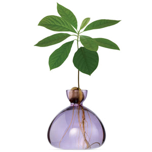 Avocado Vase | Ilex Studio