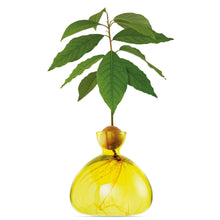 Load image into Gallery viewer, Avocado Vase | Ilex Studio