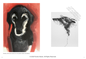 Old Dogs | Sally Muir