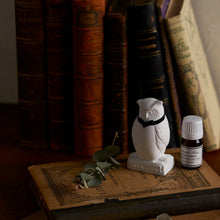 Load image into Gallery viewer, Oil Diffuser | Ballon