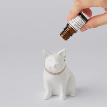 Load image into Gallery viewer, Oil Diffuser | Ballon
