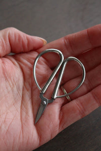 Mini Bonsai Snips | NNK Press
