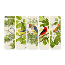 Load image into Gallery viewer, Bookmarks | Felix Doolittle