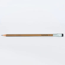 Load image into Gallery viewer, Volume 21 (Set of 12) | Blackwing