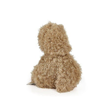 Load image into Gallery viewer, Blink Owl | Bunnies By the Bay