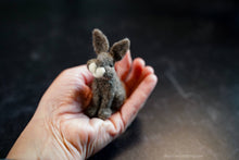 Load image into Gallery viewer, Bear Creek Felting | Rabbit Needle Felting Kit