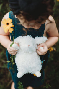 Bunnies By the Bay| Wee Ittybit Bunny